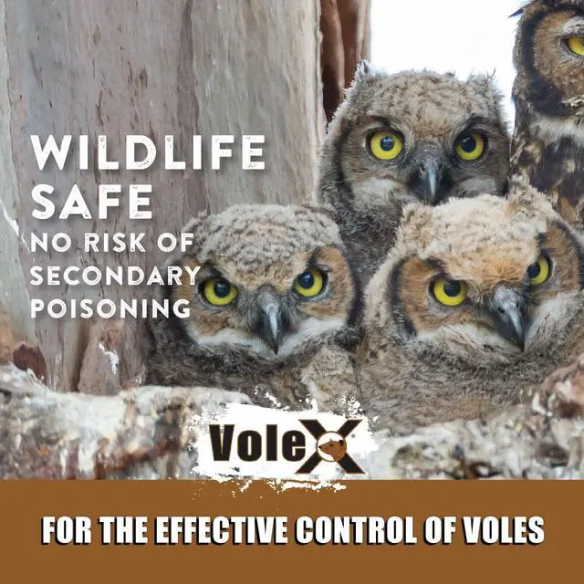 Alt view image 7 of 7 - Effective Against All Species of Voles. Safe for Use Around People, Pets, Livestock, and Wildlife