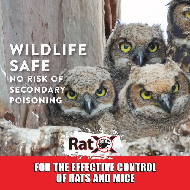 Alt view image 7 of 7 - Rodent Control Bait Pellets for Rats & Mice Poison Free, Pet Safe Indoor & Outdoor Use Pellets 18 oz. Bag