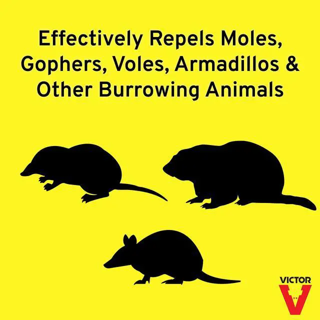 Alt view image 2 of 7 - Mole and Gopher Repellent - Repels Mole, Gopher, Vole, and Other Burrowing Animals - Repel Rodents Outdoors - M7002-2 - 10 lb Bag