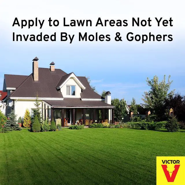 Alt view image 3 of 7 - Mole and Gopher Repellent - Repels Mole, Gopher, Vole, and Other Burrowing Animals - Repel Rodents Outdoors - M7002-2 - 10 lb Bag