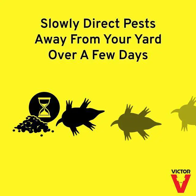 Alt view image 4 of 7 - Mole and Gopher Repellent - Repels Mole, Gopher, Vole, and Other Burrowing Animals - Repel Rodents Outdoors - M7002-2 - 10 lb Bag
