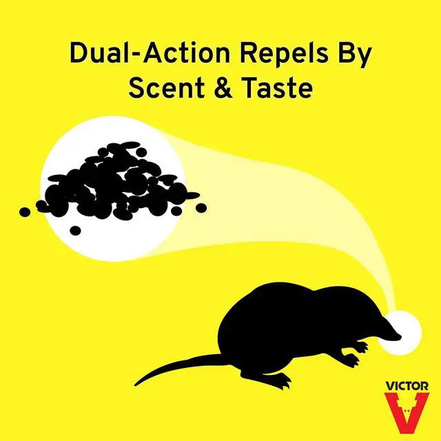 Alt view image 6 of 7 - Mole and Gopher Repellent - Repels Mole, Gopher, Vole, and Other Burrowing Animals - Repel Rodents Outdoors - M7002-2 - 10 lb Bag