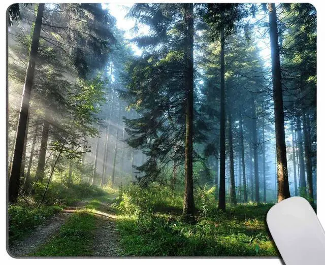 Main image of Rectangle Mouse Pad Misty Forest, Sunshine Trees Premium-Textured Custom Mouse Mat Design,Washable Mousepads Non-Slip Rubber Base Computer Mousepad Personalized for Wireless Mouse