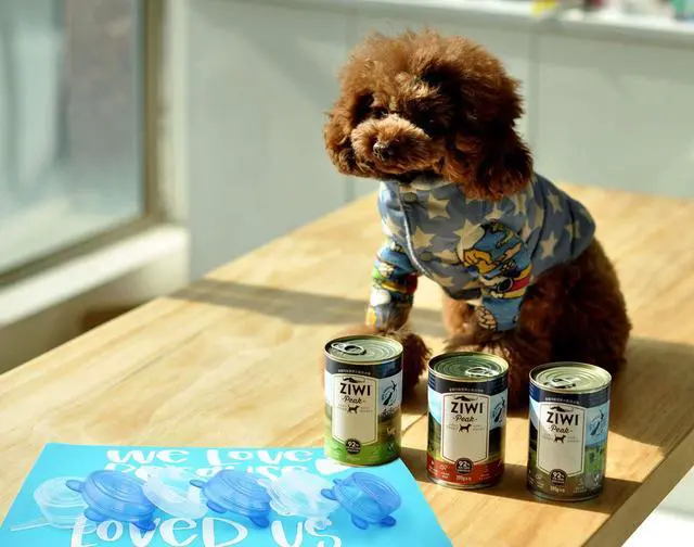 Alt view image 3 of 5 - Pet Food Can Lids, Silicone Stretch Can Lids Covers for Dog Cat Food, Reusable Expandable Universal Size Fit Most Cans and Jars, 4 Pack