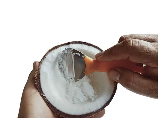 Alt view image 4 of 7 - Coconut Hand Grater Blade Slicer Shredded Scraper Coconut Meat Removal Knife Fish Skin Scale Scraper Remover Tool Vintage Yellow