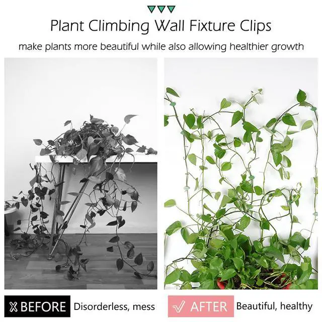 Alt view image 3 of 6 - 60 Pcs Plant Climbing Wall Fixture Clips Self-Adhesive Hook Vines Traction Clips Invisible Holder Garden Green Leaf Simulation Self-Adhesive Hook Wire Fixing Supporting