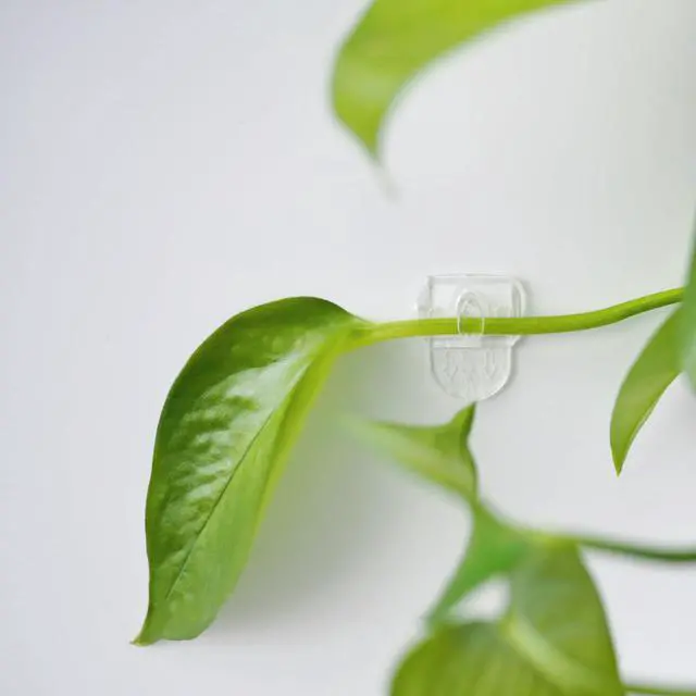 Alt view image 6 of 7 - 100 Mini Clear Light Clips with 120 Adhesive Strips, Damage-Free Indoor Mini Wall Hooks for Hanging, Removable Clips for Christmas Decoration