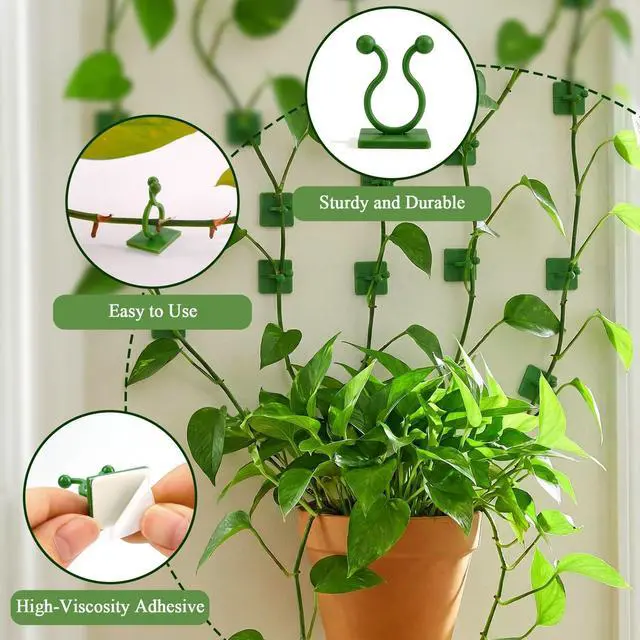 Alt view image 5 of 7 - 100 Pcs Plant Climbing Wall Fixture Clips, Green Plant Fixer with Self-Adhesive Hook, Fixing Clip Vines Holder for Indoor Outdoor Plants Support Cable Wire (Medium)