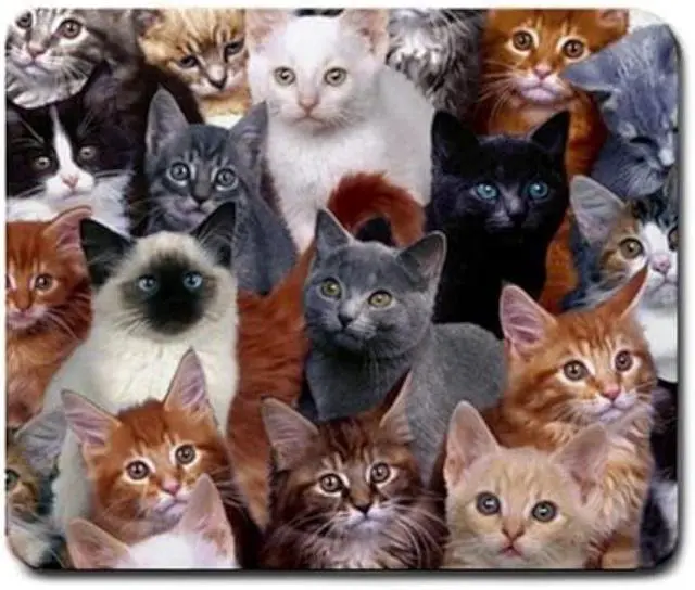 Main image of Cats Galore Mouse Pad, Square Anti-Slip Rubber Mousepad, Premium-Textured Mouse Mat, Cute Office Mouse Pads for Women Men Computer Laptop