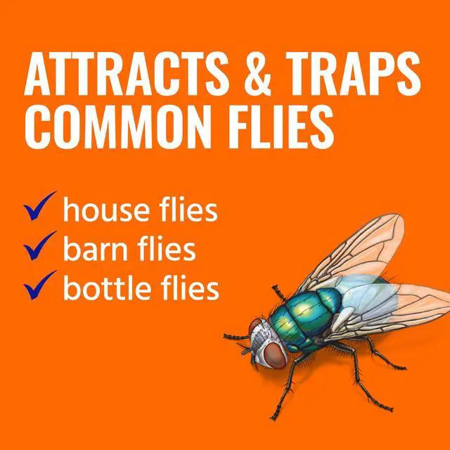 Alt view image 2 of 7 - Fly Magnet Trap, Reusable Poison-Free Outdoor Fly Catcher with Bait