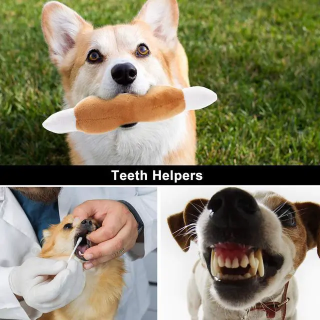 Alt view image 3 of 7 - Dog Squeaky Toys, Plush Small Dog Toys for Dogs, Stuffed with Squeakers,12 pcs Puppy Toys with a Carrying Bag for Small Medium Size