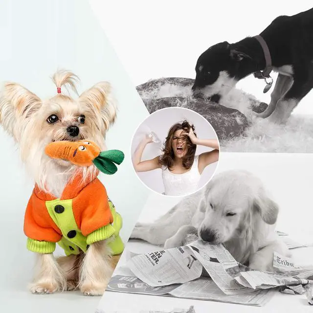 Alt view image 5 of 7 - Dog Squeaky Toys, Plush Small Dog Toys for Dogs, Stuffed with Squeakers,12 pcs Puppy Toys with a Carrying Bag for Small Medium Size