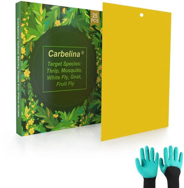 Main image of Plant Bug Sticky Traps Indoor/Outdoor -25 PCS + Gloves for Women