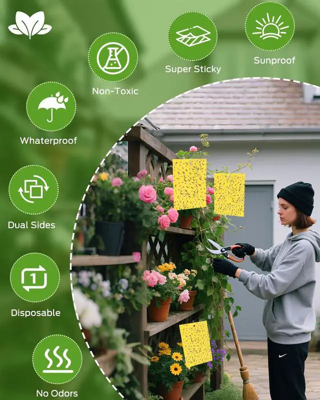 Alt view image 4 of 7 - Plant Bug Sticky Traps Indoor/Outdoor -25 PCS + Gloves for Women