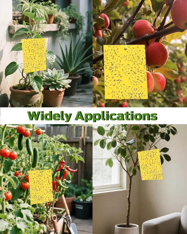 Alt view image 6 of 7 - Plant Bug Sticky Traps Indoor/Outdoor -25 PCS + Gloves for Women