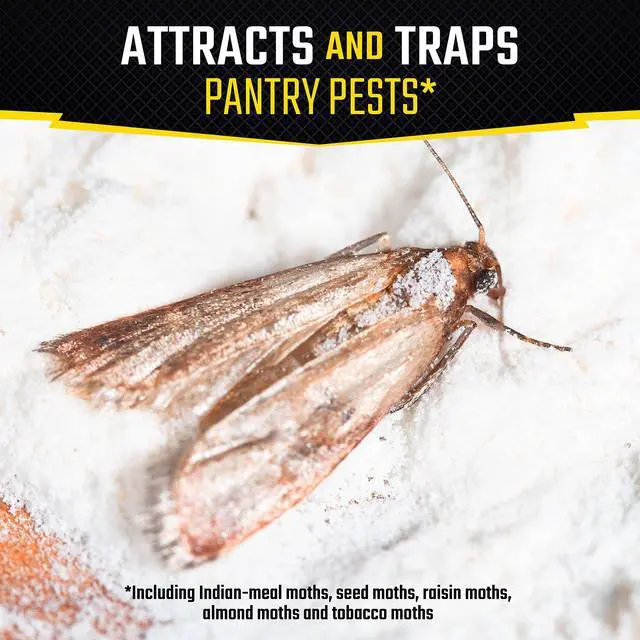 Alt view image 2 of 7 - Pantry Pest Trap 2 Count, Insect Traps, 1 Pack