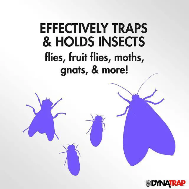 Alt view image 3 of 7 - StickyTech Replacement Indoor Flying Insect Trap Glue Cards - 6 Pack