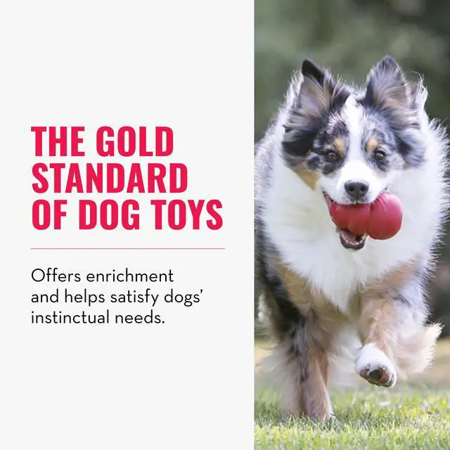 Alt view image 2 of 5 - Classic Stuffable Dog Toy - Fetch & Chew Toy for Dogs - Treat-Filling Capabilities & Erratic Bounce for Extended Play Time - Durable Natural Rubber Material - for Large Dogs