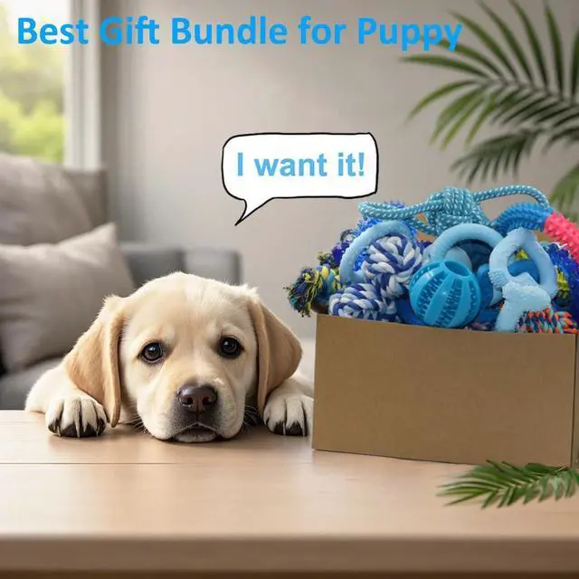 Alt view image 6 of 6 - 20 Pack Puppy Chew Toys - Blue Dog Teething Toys for Puppies, Puppy Teething Rings and Ropes, Rubber Toy Bundle for Small Dogs, Cute Interactive Dog Balls for Small Breed