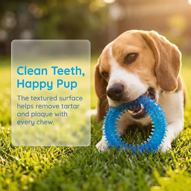 Alt view image 4 of 6 - 20 Pack Puppy Chew Toys - Blue Dog Teething Toys for Puppies, Puppy Teething Rings and Ropes, Rubber Toy Bundle for Small Dogs, Cute Interactive Dog Balls for Small Breed