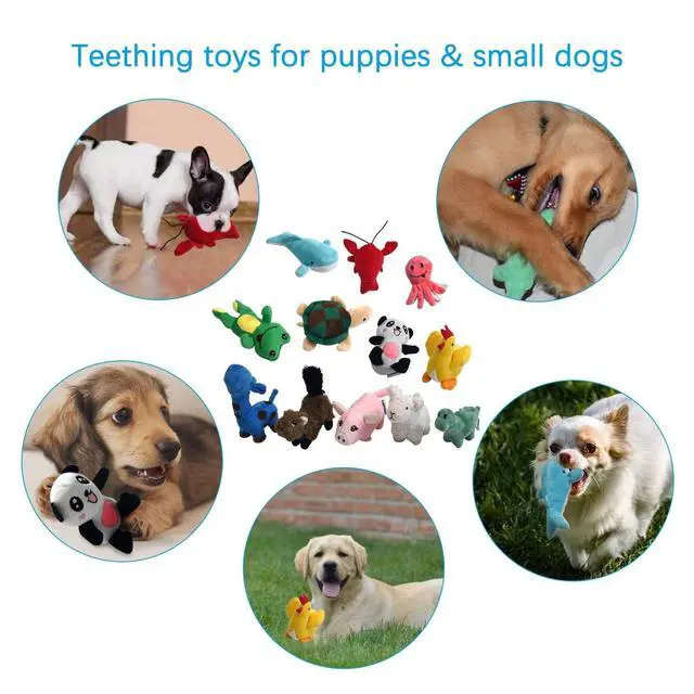 Alt view image 5 of 7 - Squeaky Plush Dog Toy Pack for Puppy, Small Stuffed Puppy Chew Toys 12 Dog Toys Bulk with Squeakers, Cute Soft Pet Toy for Small Medium Size Dogs