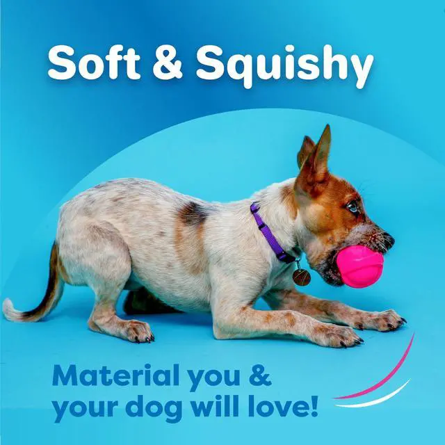 Alt view image 2 of 7 - DuraPlay Bacon Scented Dog Toys, Small (Assorted Color)