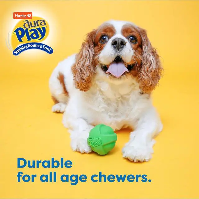 Alt view image 5 of 7 - DuraPlay Bacon Scented Dog Toys, Small (Assorted Color)