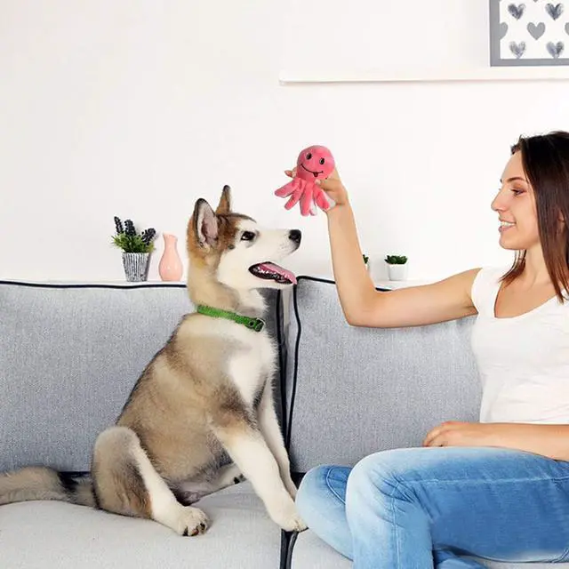 Alt view image 7 of 7 - Squeaky Plush Dog Toy Pack for Puppy, Small Stuffed Puppy Chew Toys 12 Dog Toys Bulk with Squeakers, Cute Soft Pet Toy for Small Medium Size Dogs