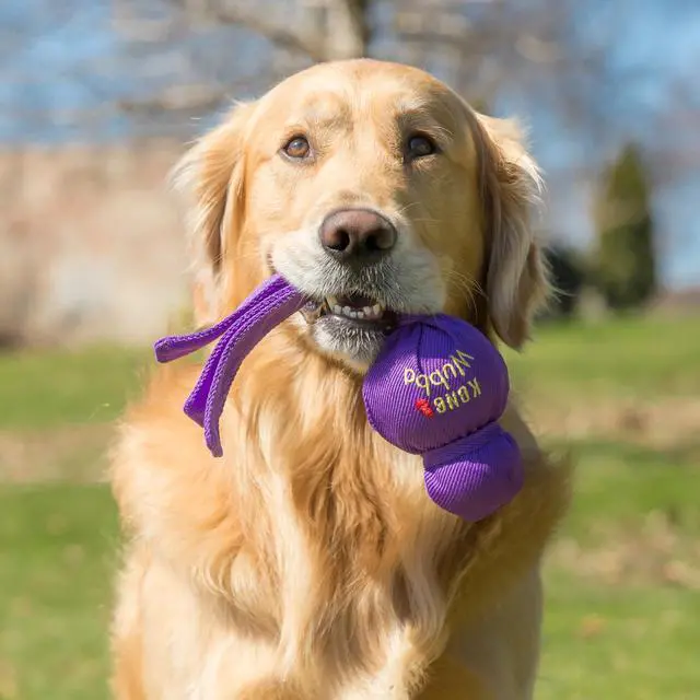 Alt view image 2 of 7 - Dog Toy for Tug of War & Fetch - Dog Supplies for Puppy & Dog Playtime - Outdoor & Indoor Dog Toy - for XL Dogs - Randomly Provided Color