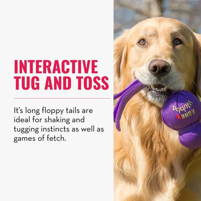 Alt view image 3 of 7 - Dog Toy for Tug of War & Fetch - Dog Supplies for Puppy & Dog Playtime - Outdoor & Indoor Dog Toy - for XL Dogs - Randomly Provided Color