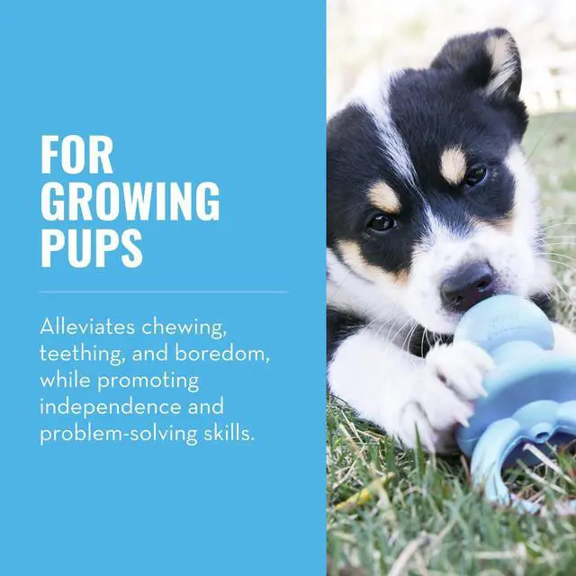 Alt view image 2 of 7 - Puppy Binkie - Pacifier Dog Toy for Puppies - Stuffable Treat Chew Toy for Treats - Durable Natural Rubber for Teething Puppy - for Small Puppies - Blue