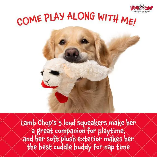 Alt view image 5 of 6 - Lamb Chop Dog Plush Toy - Squeaky Toy for Small & Medium Dogs - Extra Soft Plush - Stuffed Animal for Cuddling & Playing (10", Cream, 5 Squeakers)