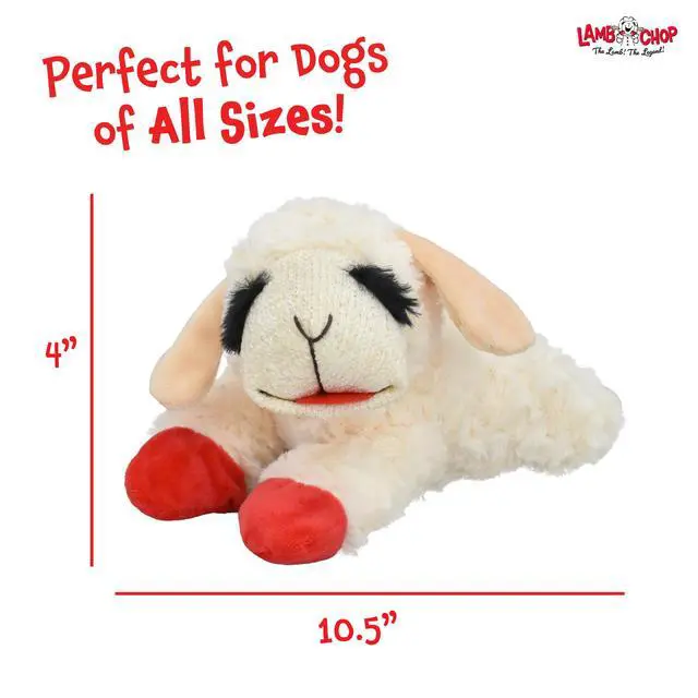 Alt view image 6 of 6 - Lamb Chop Dog Plush Toy - Squeaky Toy for Small & Medium Dogs - Extra Soft Plush - Stuffed Animal for Cuddling & Playing (10", Cream, 5 Squeakers)