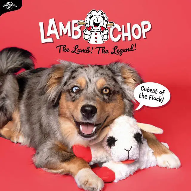 Alt view image 3 of 6 - Lamb Chop Dog Plush Toy - Squeaky Toy for Small & Medium Dogs - Extra Soft Plush - Stuffed Animal for Cuddling & Playing (10", Cream, 5 Squeakers)
