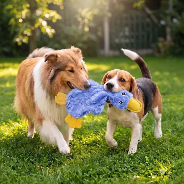 Alt view image 2 of 7 - Interactive Squeaky Dog Chew Toy, Ideal Dog Toys for Chewers, Small, Medium & Large Dogs, and Fetch Lovers - Crinkle Duck (Blue), Large