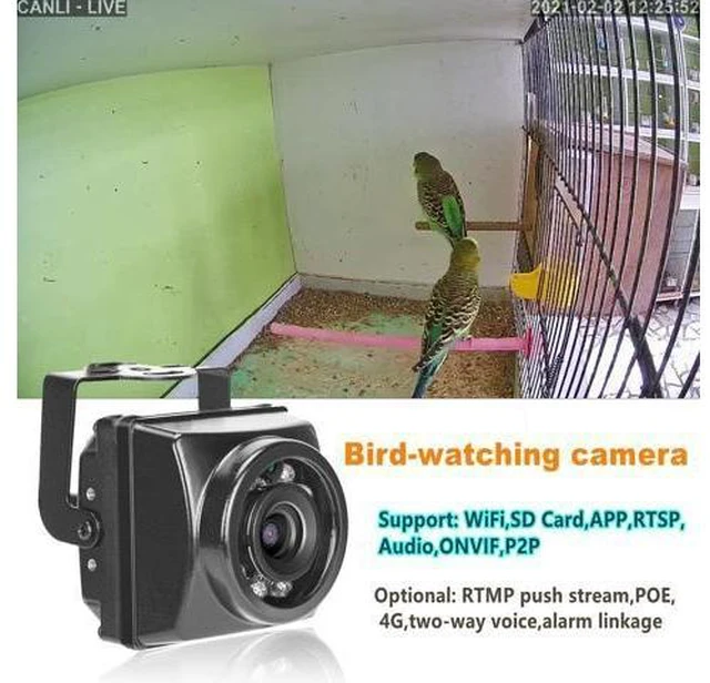 Alt view image 9 of 10 - Outdoor Mini IR IP POE Cameras Night Vision IPC Wide Angle Audio Video Security Camera Surveillance P2P Onvif Bird Cage
