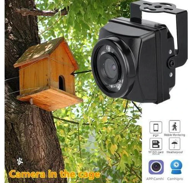 Alt view image 10 of 10 - Outdoor Mini IR IP POE Cameras Night Vision IPC Wide Angle Audio Video Security Camera Surveillance P2P Onvif Bird Cage