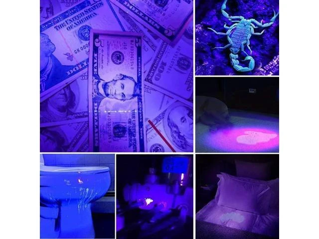 Alt view image 8 of 10 - Flashlight 365/395 nm LED Ultraviolet Torch With Zoom Function Mini Black Light Detector Outdoor Rechargeable