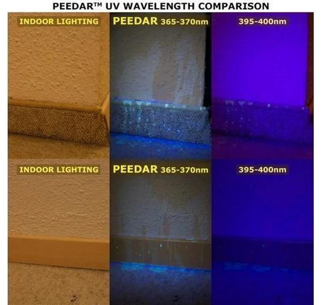 Alt view image 10 of 10 - 9 LED uv led 9led 365-370nm flashlight Blood check ultra violet for cat urine detector