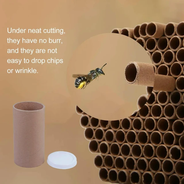 Alt view image 5 of 6 - 5Pcs Natural Kraft Tubes Poster Tube Set for Shipping Rolls Documents Paintings Prints Bee Tubes Refills Tough Wrinkle