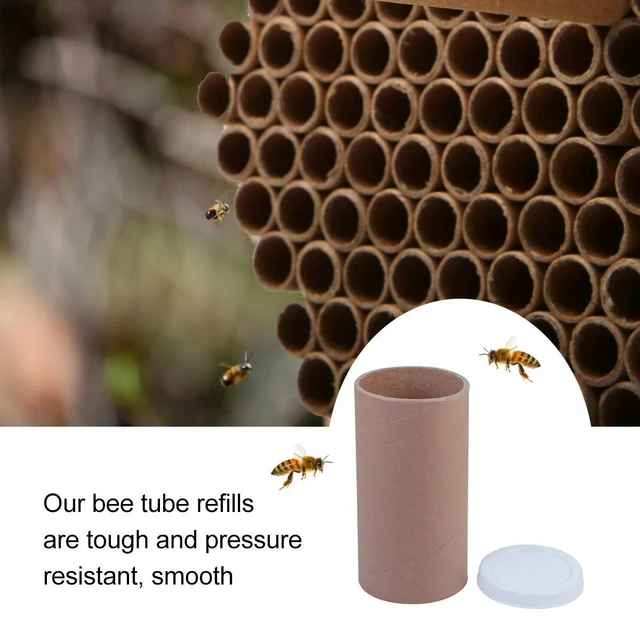 Alt view image 6 of 6 - 5Pcs Natural Kraft Tubes Poster Tube Set for Shipping Rolls Documents Paintings Prints Bee Tubes Refills Tough Wrinkle