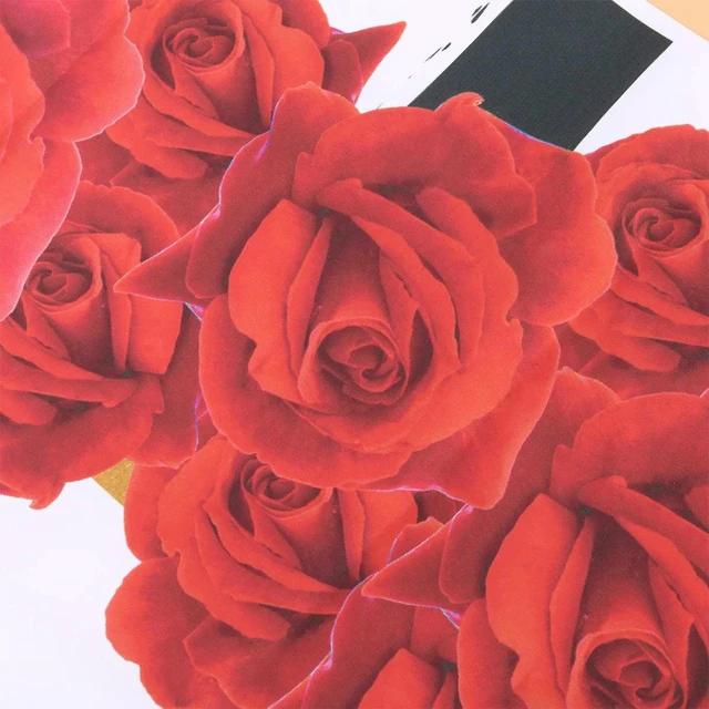 Alt view image 6 of 6 - 1Pcs Romantic Red Rose Design Birthday Photo Background Fabric Ideal for Store Work Room Photography Props Scene Layout Decor