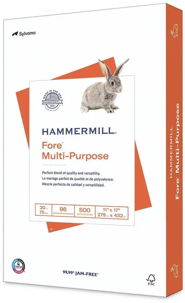 Main image of Printer Paper, Fore Multipurpose 20 lb Copy Paper, 11 x 17 - 1 Ream (500 Sheets) - 96 Bright, Made in the USA, 103192R