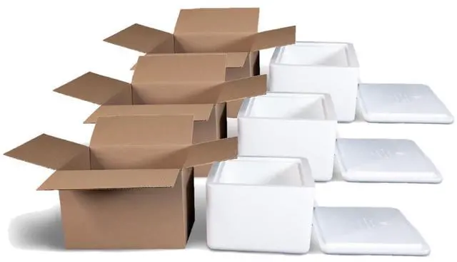 Main image of EPS Foam Cooler (Outside Dimensions: 15 x 13 x 10) with Shipping Box - 3 Pack, Protective, Thermal, Insulated, Biodegradable, Recyclable, Shipping/Storage