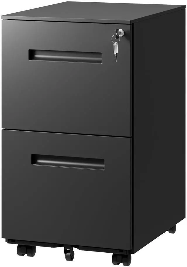 Main image of 2 Drawer Metal File Cabinet with Lock, Fully Assembled | Mobile Filing Cabinet Under Desk for Home Office, Printer Stand, fits Letter/Legal/A4 Size Files, Black