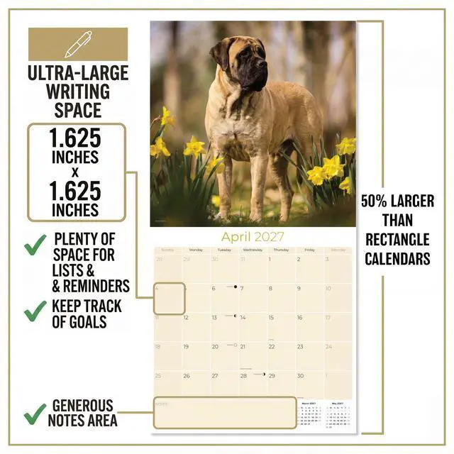 Alt view image 4 of 7 - Mastiff Calendar 2026-2027, 16-Month 12x12 Wall Calendar | 2026-2027 Calendar, Dog Lover Gift, Made in USA, Thick 100# No-Bleed Paper, Large Writing Blocks, 12x12, US Holidays