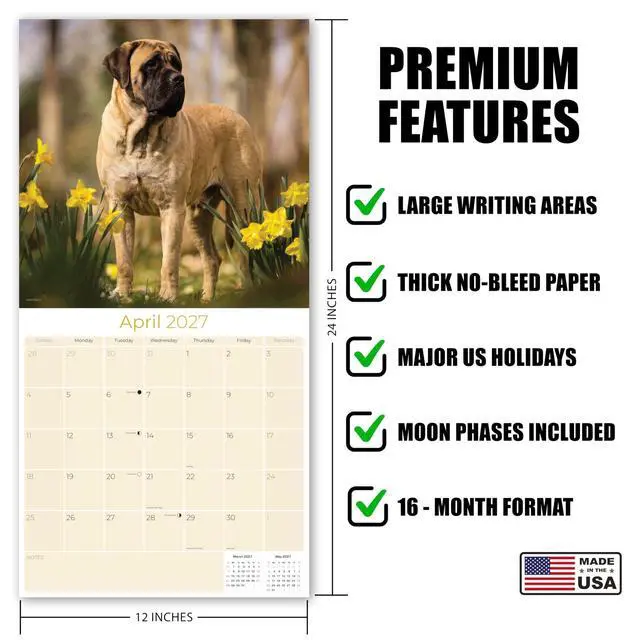 Alt view image 5 of 7 - Mastiff Calendar 2026-2027, 16-Month 12x12 Wall Calendar | 2026-2027 Calendar, Dog Lover Gift, Made in USA, Thick 100# No-Bleed Paper, Large Writing Blocks, 12x12, US Holidays