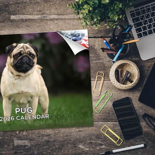 Alt view image 5 of 7 - Pug Calendar 2026 2027 14 Month Wall Calendar | Dog Lover Gift, Thick 100# No-Bleed Paper, Large Writing Blocks, Made in USA, Squishy Face Photos, Teacher Gift