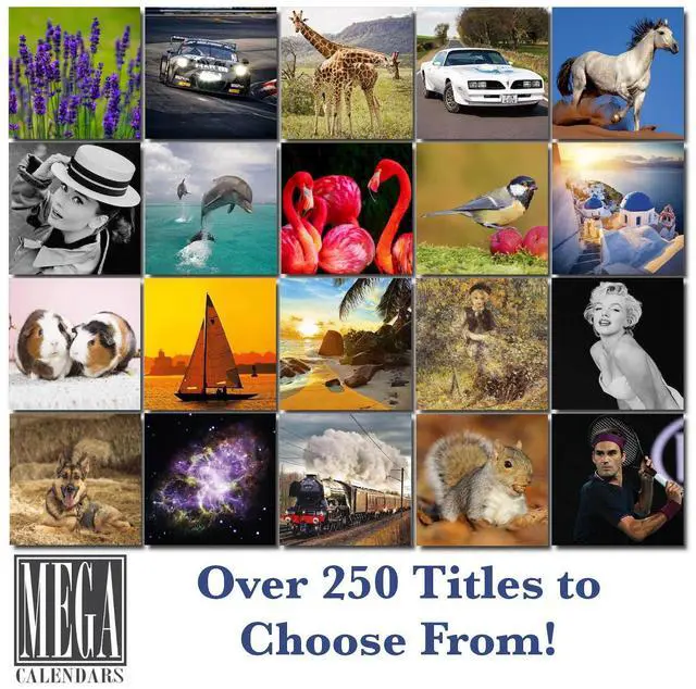 Alt view image 7 of 7 - Poodle Calendar 2026 2027 14-Month Standard Poodle Wall Academic | Dog Lover Gift, Thick 100# No-Bleed Paper, Large Writing Blocks, Made in USA, Groomer Gift, Teacher Gift
