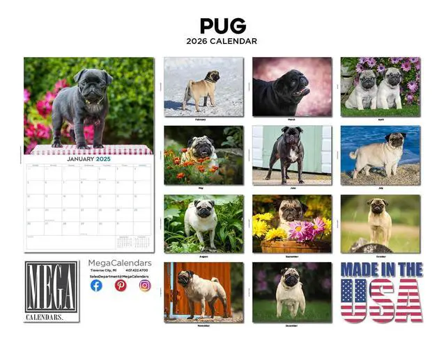 Alt view image 3 of 7 - Pug Calendar 2026 2027 14 Month Wall Calendar | Dog Lover Gift, Thick 100# No-Bleed Paper, Large Writing Blocks, Made in USA, Squishy Face Photos, Teacher Gift